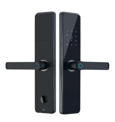 China OEM ODM Black RFID Smart Door Lock With Fingerprint And Password for sale