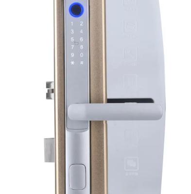 Китай Hotel Tuya APP Smart Lock Digital Fingerprint Door Lock For Silding Door (Умный замок с цифровым отпечатком пальцев) продается