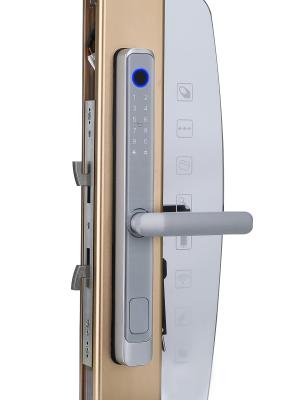 China Home Electronic Fingerprint Sliding Door Safety Lock 2 Years Warranty for sale