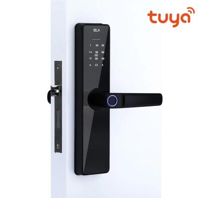 China Family Fingerprint Passcode Lock , Tuya APP Wifi Smart Door Locks for sale