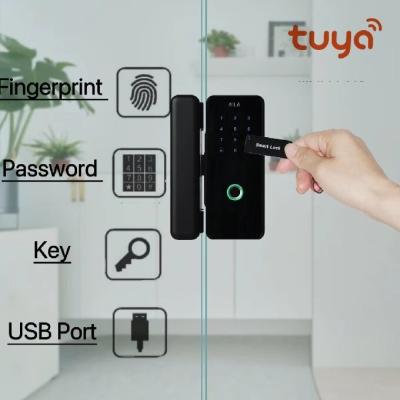 Chine Fermeture numérique de bord en alliage d'aluminium Fermeture automatique d'empreintes digitales biométriques Tuya à vendre