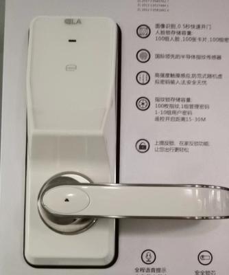 China Zinc Alloy RFID Hotel Lock White Electronic Door Handle Lock for sale