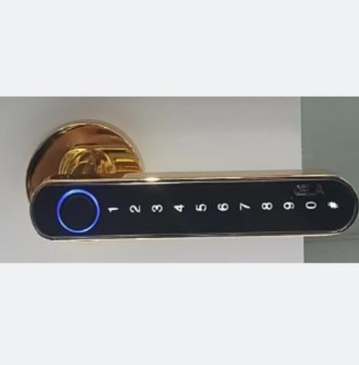 China OEM ODM Push Pull Door Lock Digital Wifi Keyless Entrada Fechadura de Porta à venda