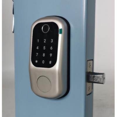 China Semiconductor Fingerprint Electric Smart Lock Multi Function for sale