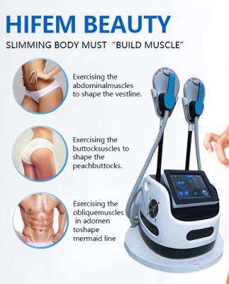 China Muscle stimulator portable  7 tesla muscle stimulator deep muscle stimulator for sale