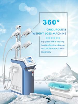 China 5 Working Handles Portable 360 Coolsculpting Cryolipolysis Machine 1000W for sale