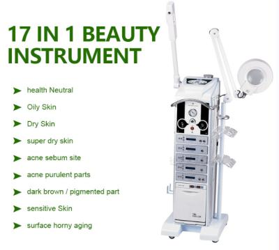 China BIO Esthetician Multifunction Spa Facial Beauty Machine 17 In 1 for sale