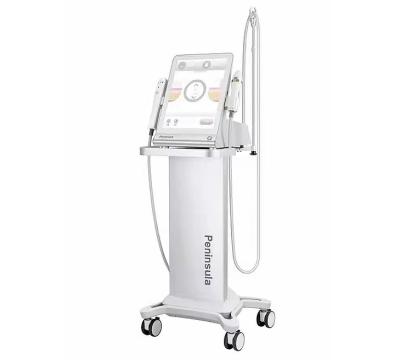 China 7d vmax Hifu Micro Focused Ultrasound RF Face Lifting Machine  2 In1 3000 Shots for sale