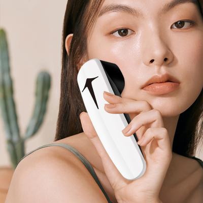 China Mini instrumento cosmético tierno antienvejecimiento para estiramiento de la piel Facial portátil para el hogar en venta