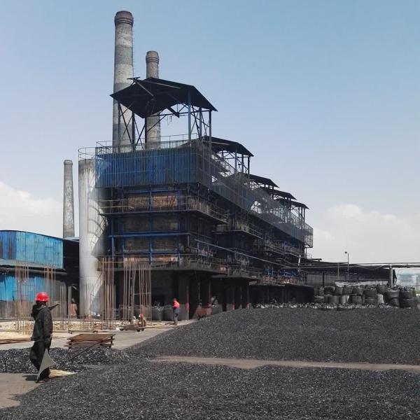 Quality Customized Activated Carbon Manufacturing Plant Setup 1-5t/Day Columnar Neutral for sale