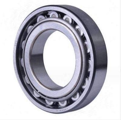 China ISO9001 P6 Roller de rodamiento cilíndrico, rodamiento de rodamiento de aguja cilíndrico práctico en venta