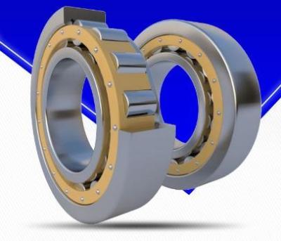 China P2 Precision Cylindrical Roller Bearing Double Row With Open Seals for sale