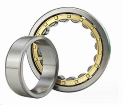 China NU1004 Chrome Steel NSK Cylindrical Roller Bearing 42mm OD 12mm Width Separable for sale