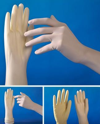 中国 セリウムの証明の使い捨て可能な検査の手袋の自然な乳液の外科手袋 販売のため