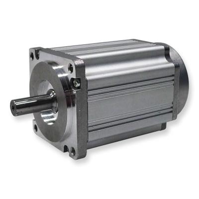 China 8 Poles Dielectric Strength 500VAC Brushless E Motor for sale
