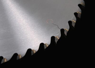 Китай Лезвия круглой пилы вырезывания Слисер ТКТ деревянные/12 дюйма увидели ОЭМ лезвия продается