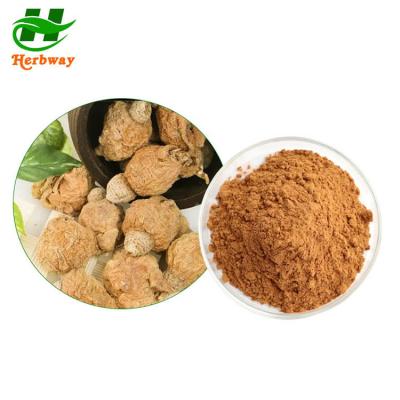 China Men Health Herbal Extract Powder Maca Root Extract Maca Powder Macamides for sale