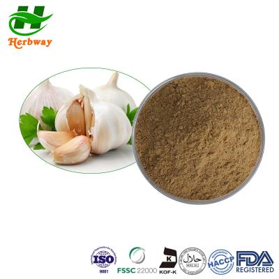 China Plant Extract Powder Garlic Extract Garlic Powder Allium Sativum Extract Allicin for sale