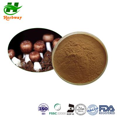 China FDA Pilzextrakt Pulver Agaricus Blazei Extrakt Agaricus Blazei Murill Extrakt zu verkaufen