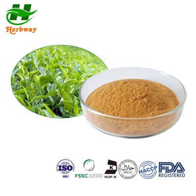Китай CAS 989-51-5 EGCG Camellia Sinensis Leaf Powder 50% Полифенолы 98% продается