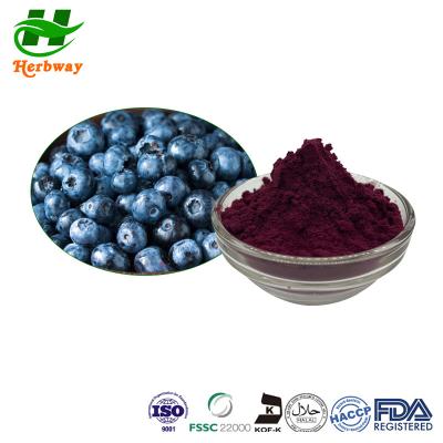 China FDA Antioxidant Powder 10%-25% Bilberry Extract Powder Bilberry Vaccinium Myrtillus Extract for sale