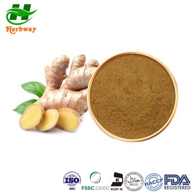 China Yellow Powder Ginger Extract Ginger Root Extract Gingerol CAS 84696-15-1 for sale