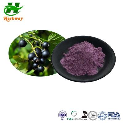 Китай Herbway Instant Juice Powder Black Currant Juice Powder Ribs Nigrum L. Для напитков продается