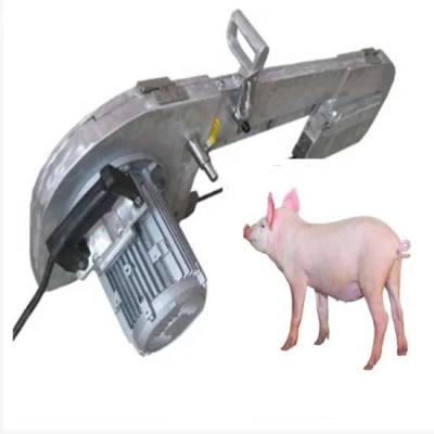 Chine Machine d'abattage animal de l'équipement 380V d'abattoir de volaille de conception d'abattoir à vendre