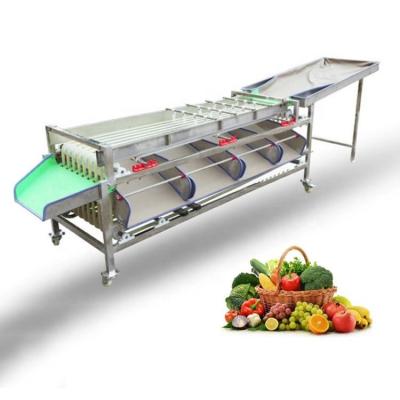 China Fruta de acero inoxidable de la máquina de la asación de la nuez de macadamia que clasifica la niveladora en venta