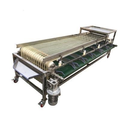 China Olive Food Sorting Machine Industrial 1.5kw Fruit Sorting Machine for sale