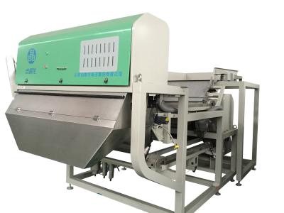 China Hygienic Design Peanut Sorting Machine CCD Optical Color Sorter for sale