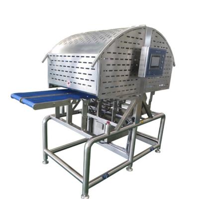 Chine 45 degrés Salmon Fish Slicer Machine Automatic facile à utiliser à vendre