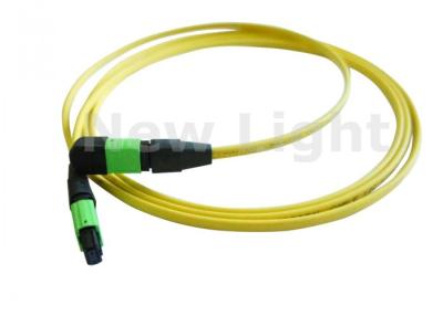 China Single Mode 12 Core MPO MTP Cable / MTP Trunk Cable With APC Polish CE Approved for sale