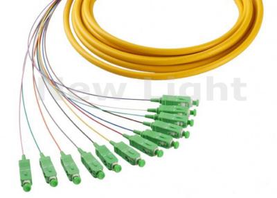 China 1 Meter Fiber Optic Jumper Cables SM Simplex SC APC 12 Core Fanout Fiber Optic Pigtails for sale