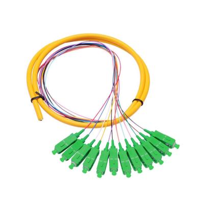 China 12 Core SC APC single mode distribution  Fiber Optic Pigtail For Telecommunication Networks for sale
