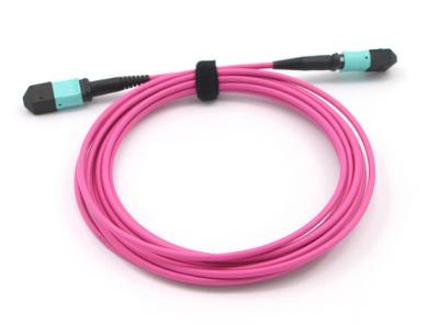 China Patch Cord MPO TO MPO 12 Fiber Core OM4 Magenta MPO MTP Trunk Cable for sale