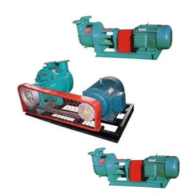 China High Speed Water Seal Vacuum Pump In Power Plant Up To 3500Rpm 0.1Mbar for sale