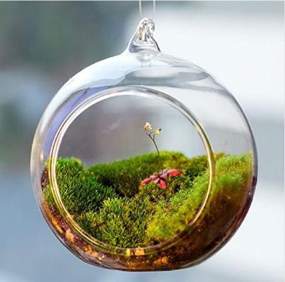 China Cristalería decorativa de florero de terrario de vidrio de alto borosilicato Novolink en venta