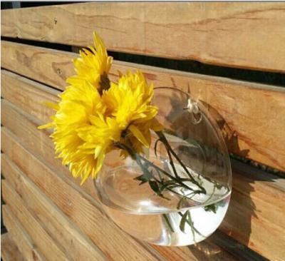 Chine D'OEM mur Hung Terrarium Daily Use de vase à ampoule de planteur de sphère semi à vendre