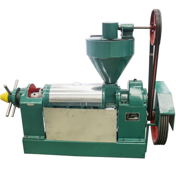 Quality Cold Screw Press Spiral Oil Press Machine 150-200kg/H For Soybean Peanut for sale