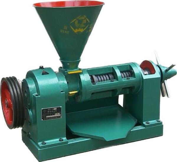 Quality Screw Oil Press Machine 40-60kg/H Oil Making Machine Pressing Oil Pressing for sale