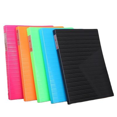 China Pocket Striped A4 PP Folder for Information Display School and Office Organization for sale