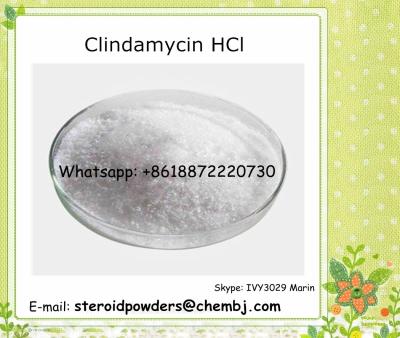 China Lincomycin-Hydrochlorid-Clindamycin-Hydrochlorid Clindamycin HCl 21462-39-5 u. Clindamycin-Phosphat 24729-96-2 zu verkaufen