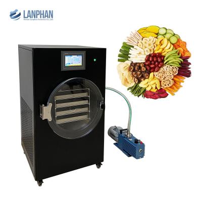 China Laboratory Vacuum Home 50mm Freeze Dryer Lyophilizer Machine for sale