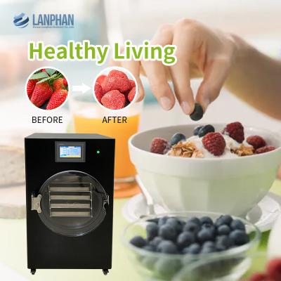 China Fruits Vegetables Vacuum Freeze Dryer Home Digital Control Lyophilizer for sale
