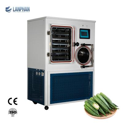 China Pilot Scale Commercial Food Vegetable Vacuum Freeze Dryer for sale