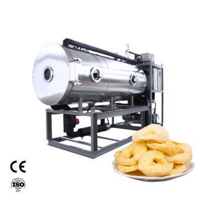 China Commercial Industrial Large Lyophilizer Vacuum Freeze Drying Machine For Food Vegetable for sale