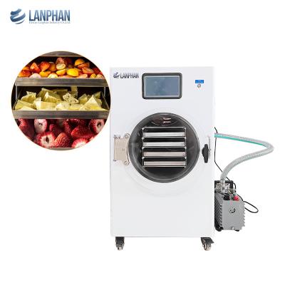 China Food Liquid Flower vacuum freeze drying equipment small freeze dryer for home use for sale