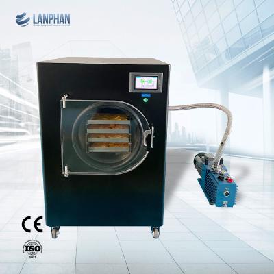 China 220V Home Vacuum Freeze Dryer Fruit Liquid Freeze Dried Maker for sale