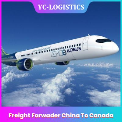 China Express DDP International Freight Forwarding Services From Guangdong for sale